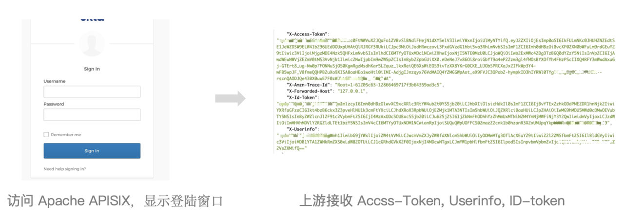 APISIX 页面