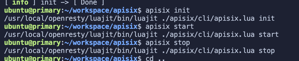 APISIX started successfully.png