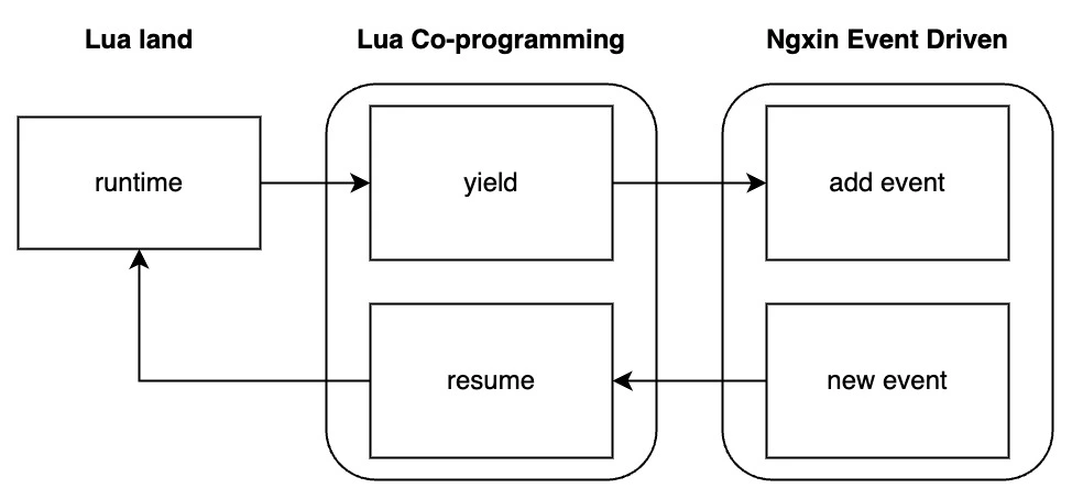 call cosocket-related function 