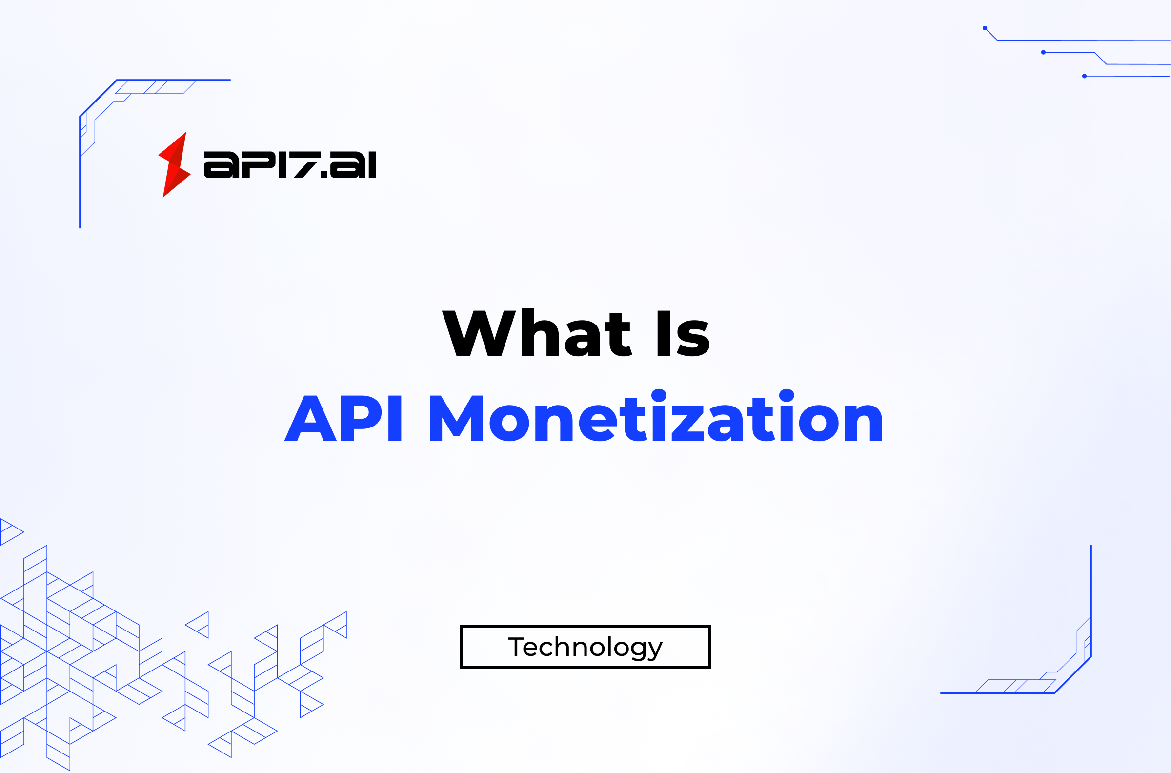 What Is API Monetization?