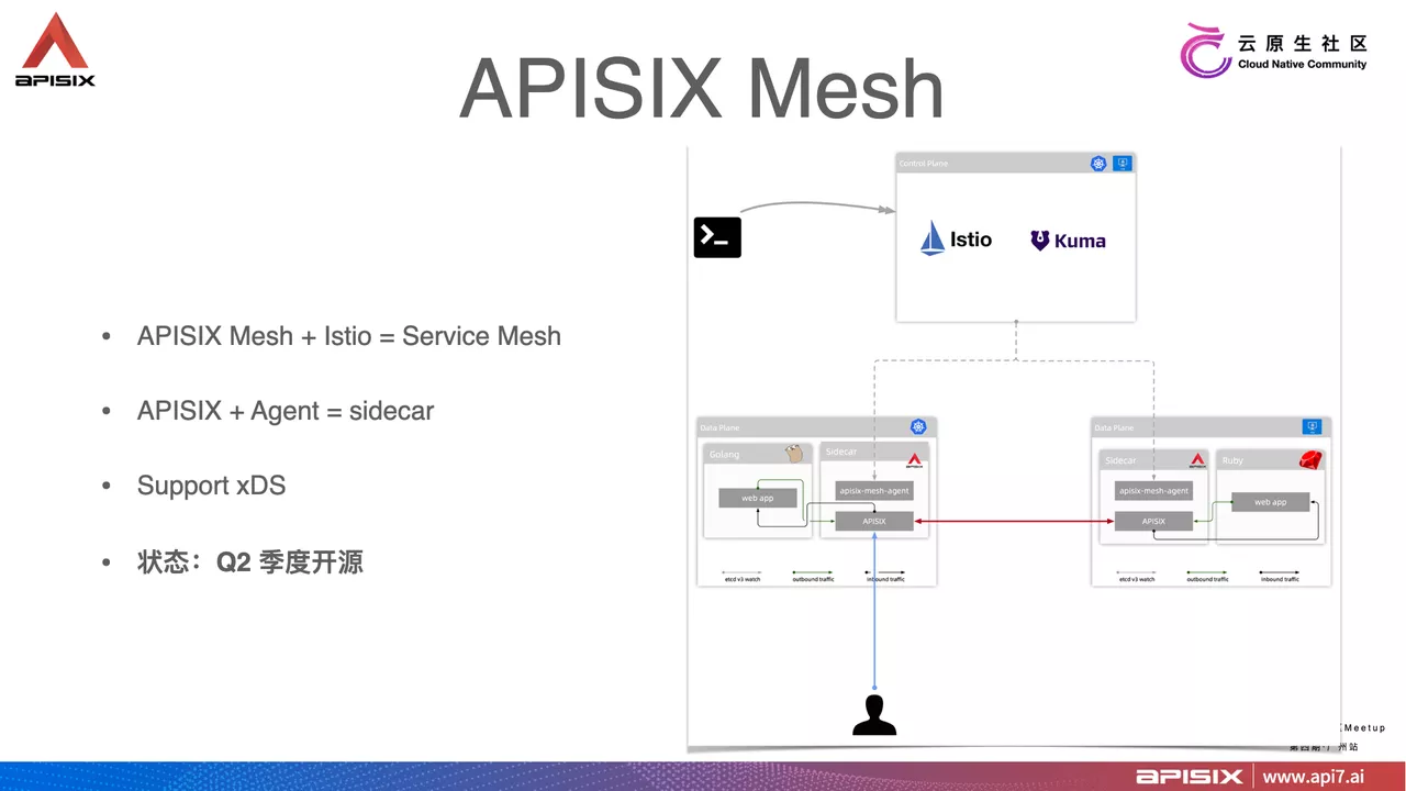 APISIX Mesh