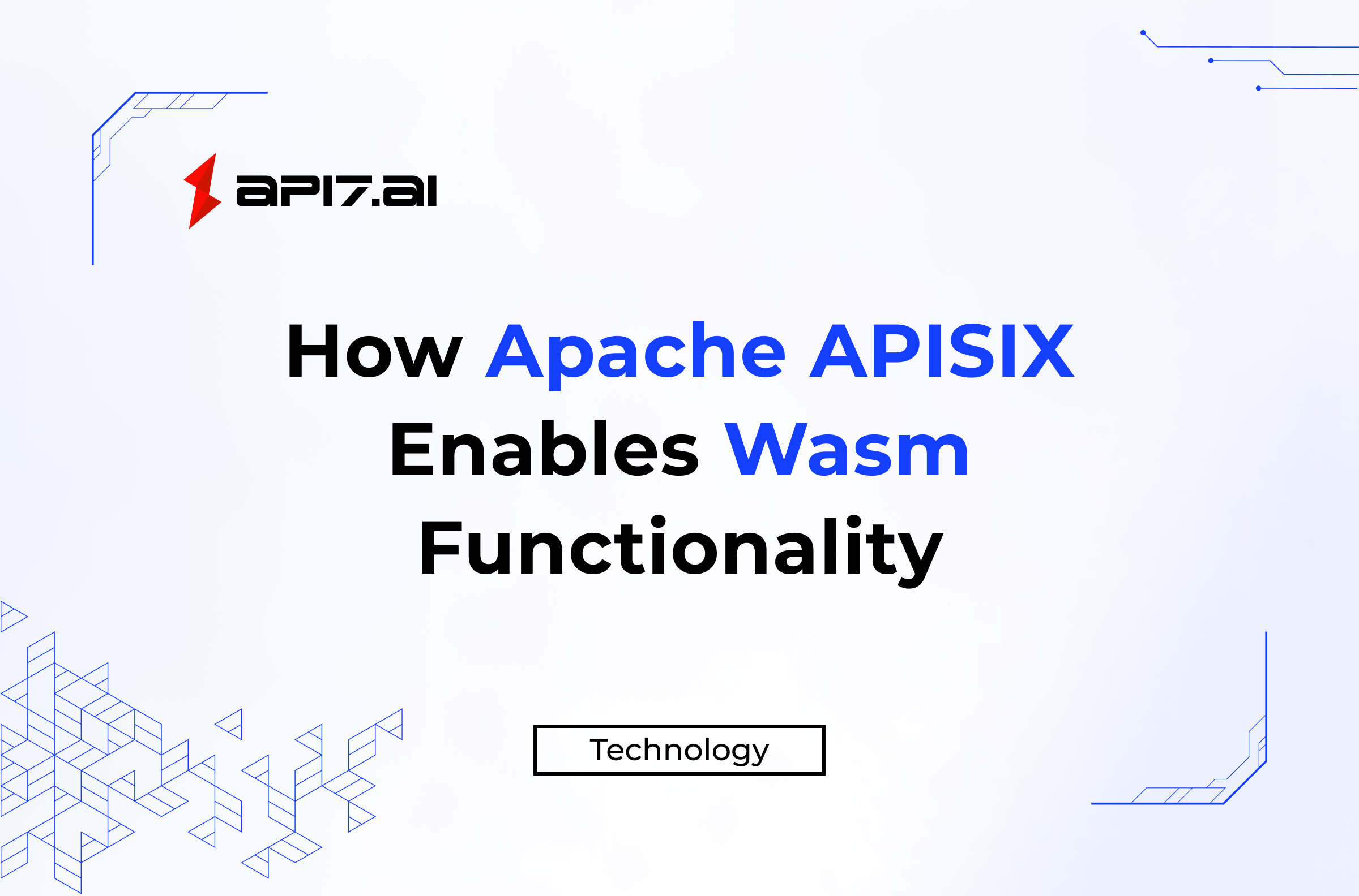 How Apache APISIX Enables Wasm Functionality