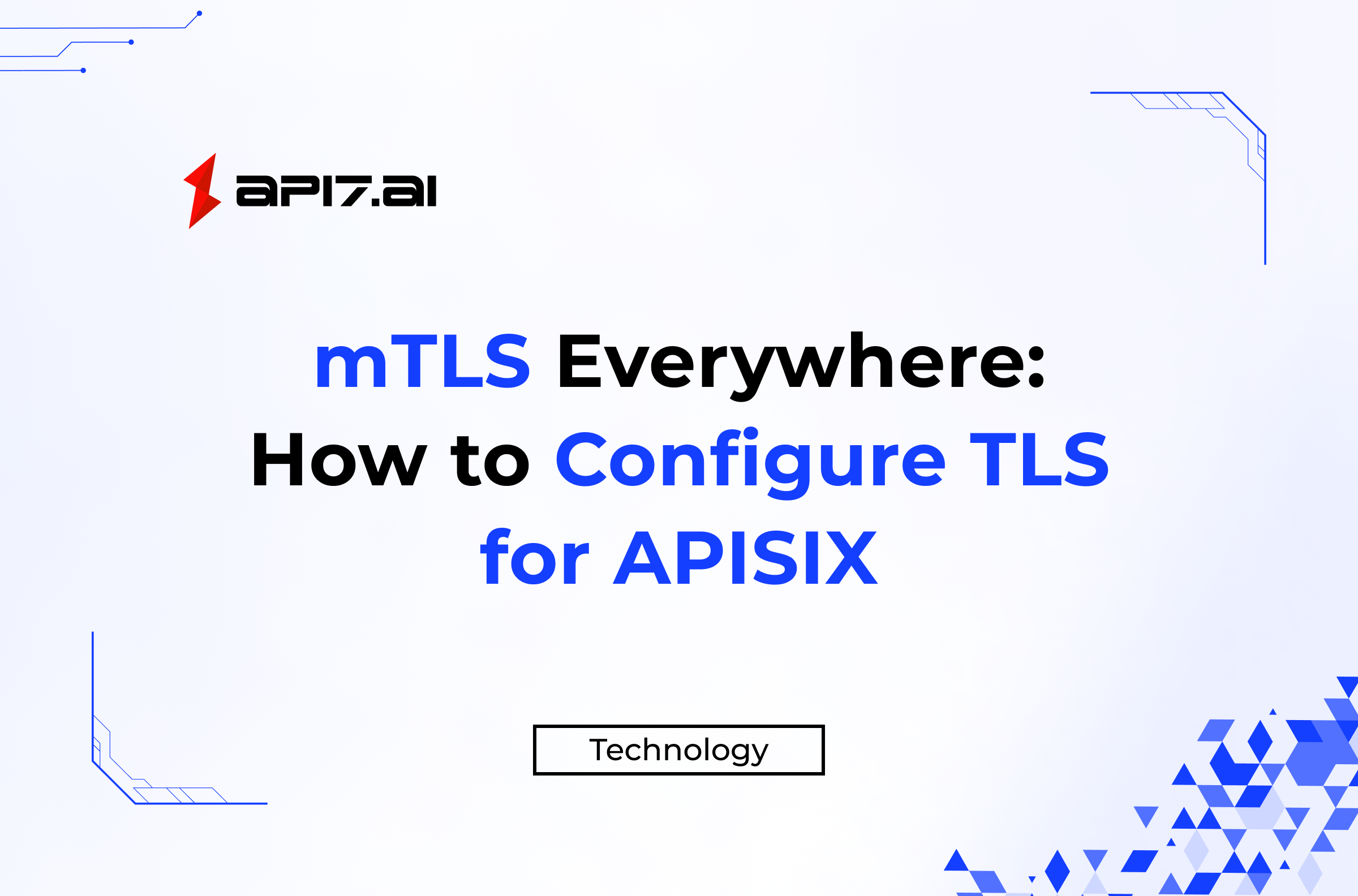 mTLS Everywhere: How to Configure TLS for APISIX