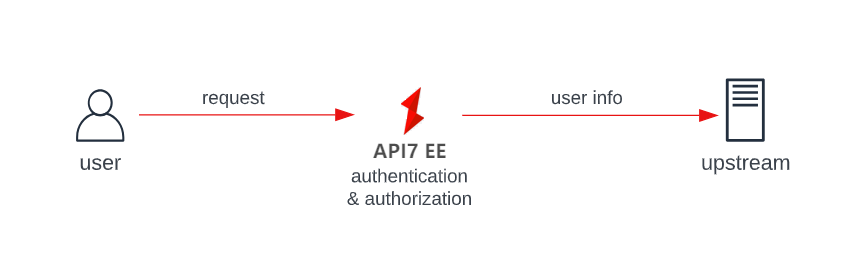 API7 Enterprise performs auth without IdP
