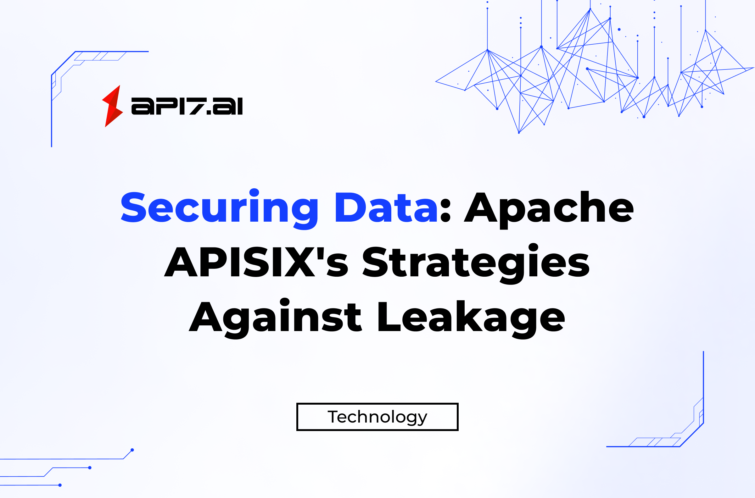 Securing Data: Apache APISIX's Strategies Against Leakage