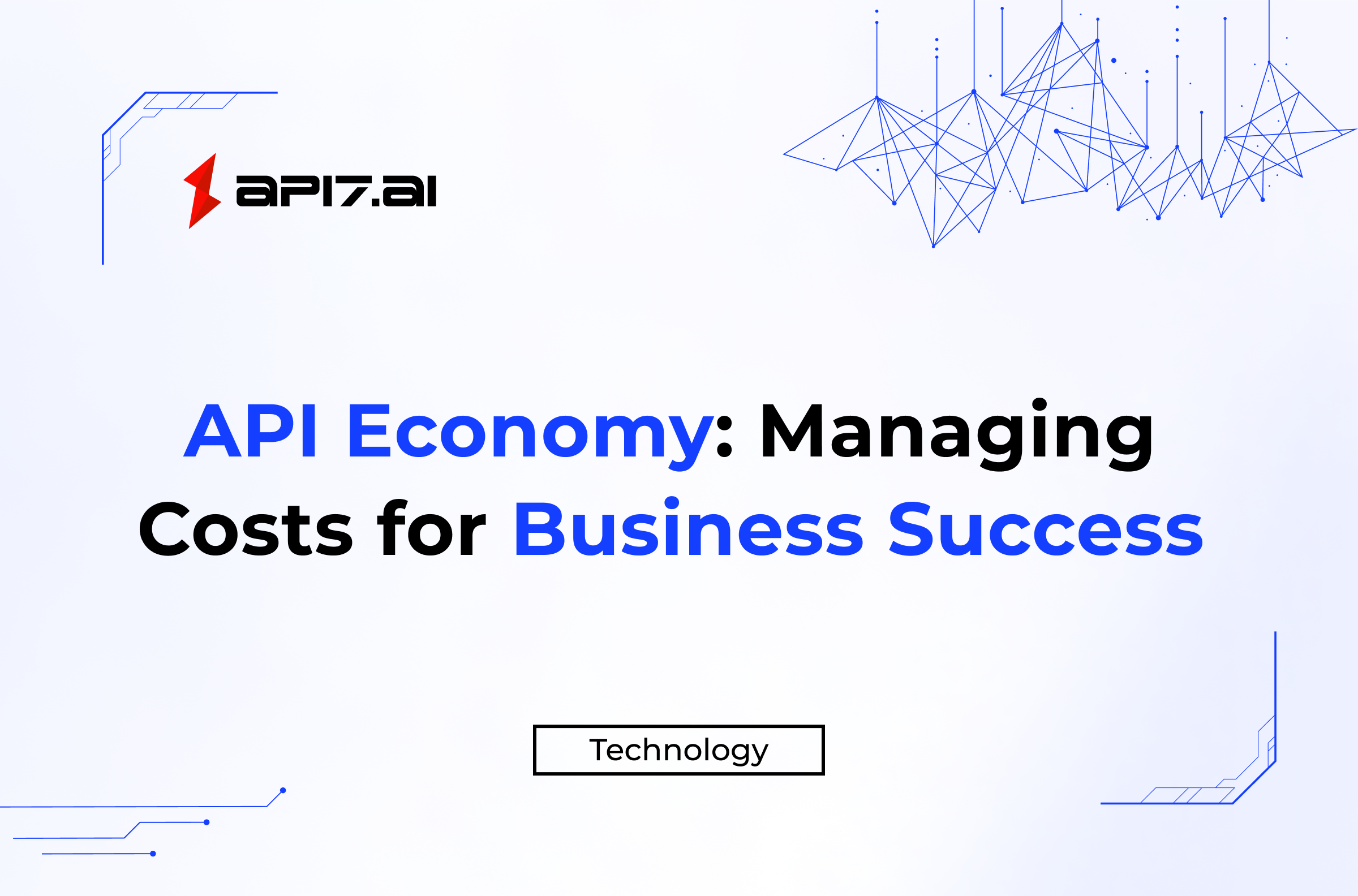 API Economy: Managing Costs for Business Success